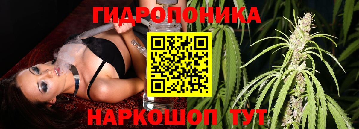 Марихуана Amnesia  Бошки Шишки MAZAR  Вход с VPN  Туймазы  Канабис Amnesia  Каннабис индика 